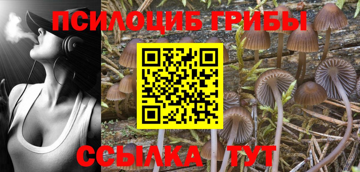 Галлюциногенные грибы Magic Shrooms Белогорск